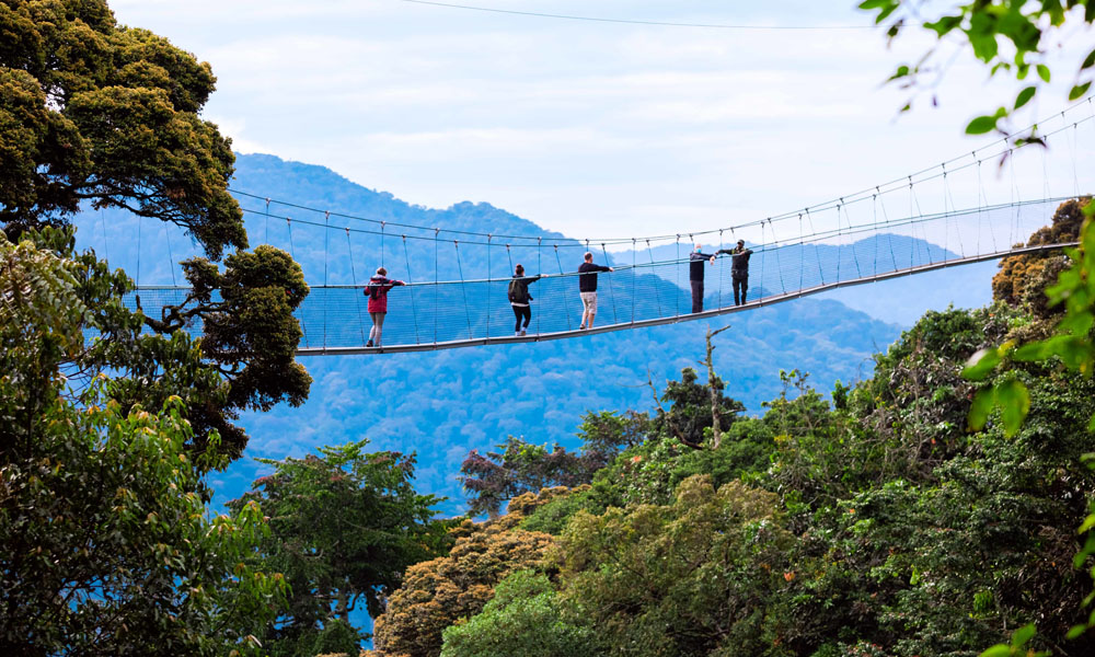 Things you can do on 6 Days Rwanda safari tour